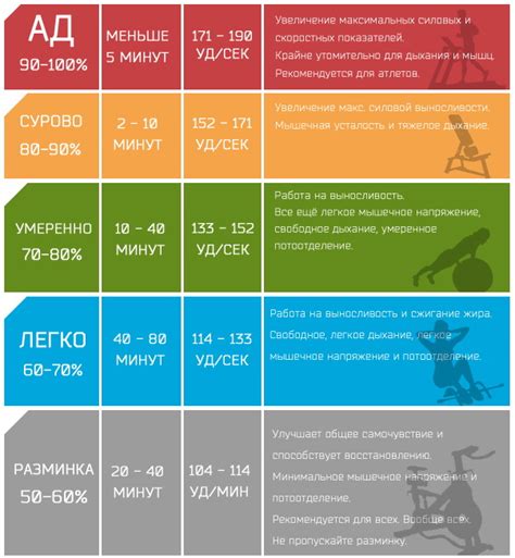 Значимость сердцебиения в развитии человека