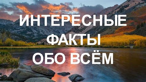 Значимость таинственной символики в сновидениях о утрате