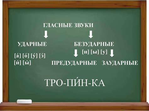 Значимость ударных и безударных звуков при обучении иностранному языку