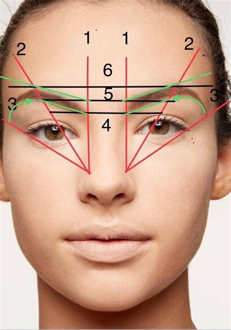 Идеальная форма и цвет бровей для разных типов лица