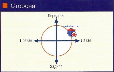 Идентификация и коммуникация через чешую