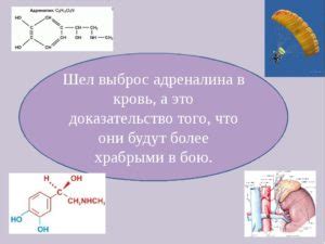 Избыток адреналина в организме