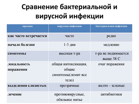 Избыток себума и бактериальная инфекция