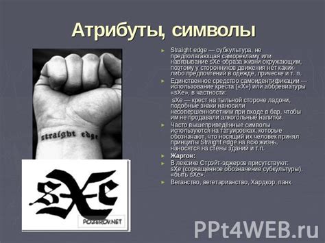 Известные представители движения Straight Edge