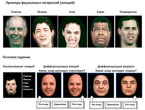 Изменения в мимике лица при отрицательном векторе