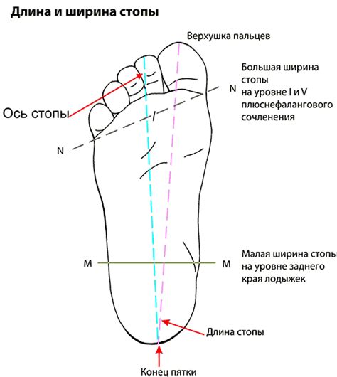 Измерение длины стопы: основные способы