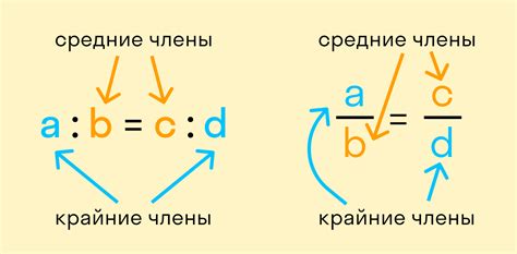 Измерьте и соблюдайте правильные пропорции