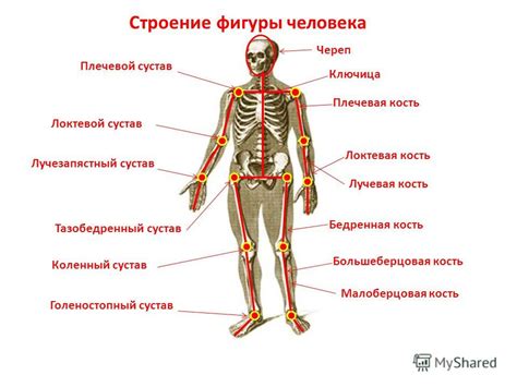 Изображение костей в искусстве