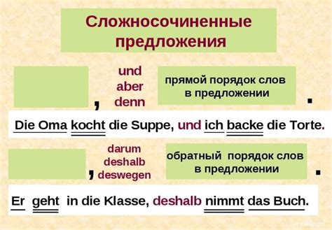 Изучаем предикативную часть сложного предложения: всё, что вам нужно знать