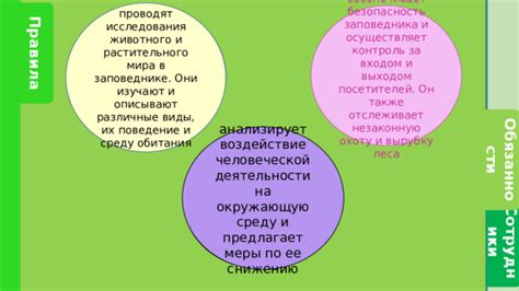 Изучение снов и их воздействие на поведение участников животного мира