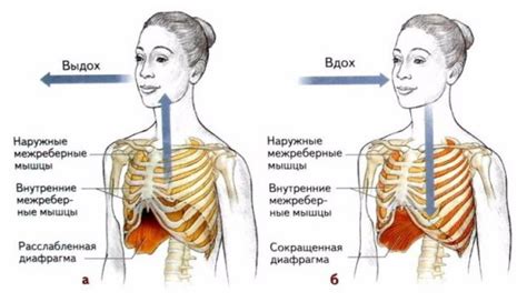 Икота как следствие затрагивания диафрагмы и легких