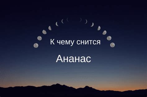 Имеющий необычную внешность символ ёжика в соннике: основные варианты толкований