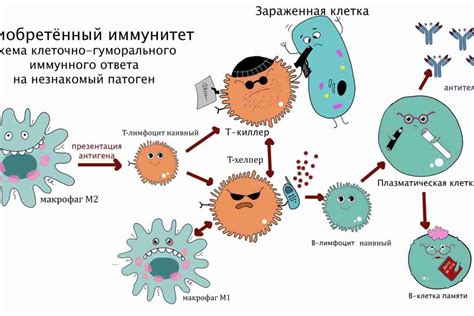 Иммунная система и пение