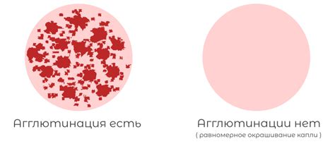 Импликации наличия крови в сновидении на итоговую интерпретацию