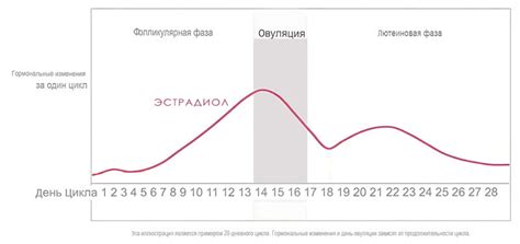 Импортантность эстрадиола в период после переноса