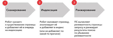 Индексация сайта: основные понятия и принципы