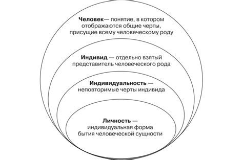 Индивидуальность в обществознании 6 класс: понятие и характеристики