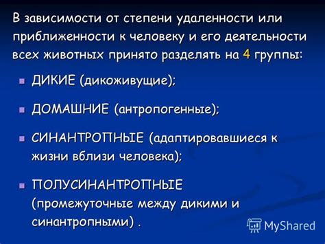 Индикация приближенности или приблизительности