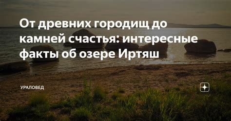 Интересные факты об ивернах счастья