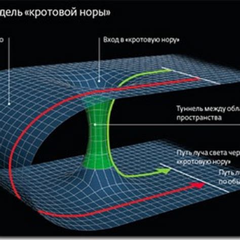 Интересные факты о потаенном логинде внутри норы