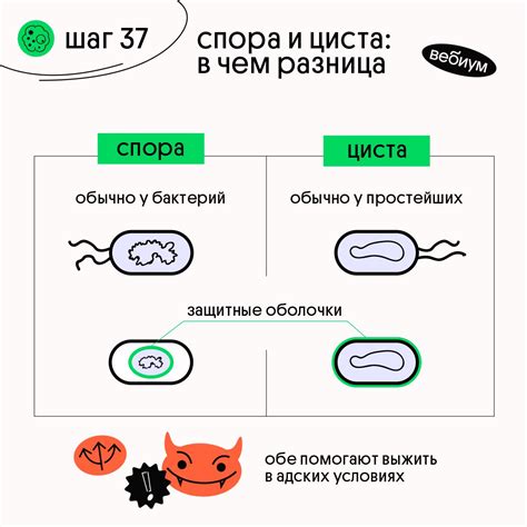 Интерпретации и споры