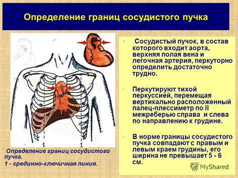 Интерпретация линии сердца