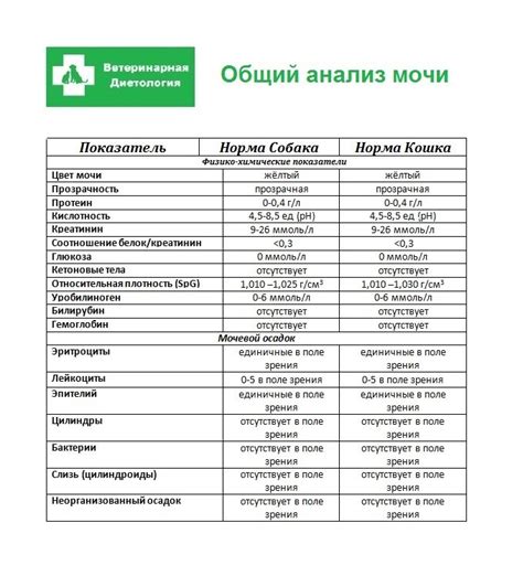 Интерпретация показателей