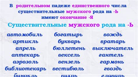 Интерпретация сновидения: Малыш мужского рода в собственной перспективе