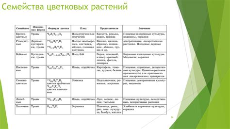 Интерпретация снов о различных оттенках цветовых растений