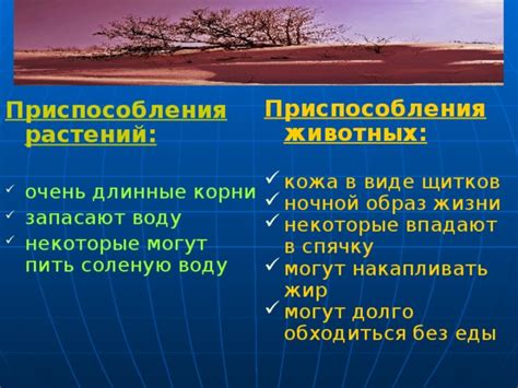 Интерпретация снов о хождении без обуви в жаркое время года