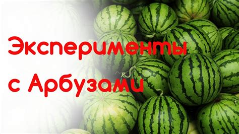 Интерпретация снов с интактными арбузами: скрытые чувства и притаившиеся желания