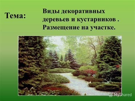 Интродукция видов: что это такое и его значение в биологии