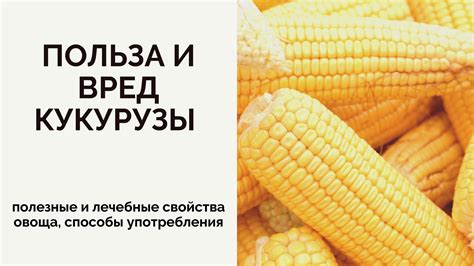 Ироническое значение овоща про человека