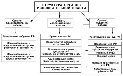 Исполнительная власть и ее роль