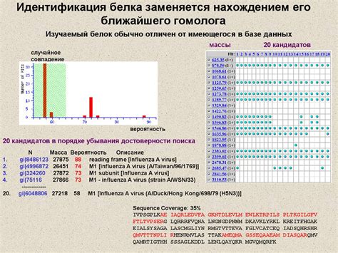 Использование ближайшего гомолога в научных исследованиях