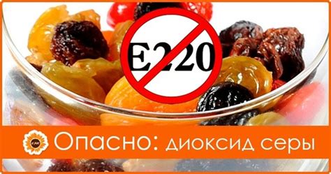 Использование консерванта Е220 в пищевой промышленности