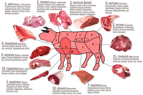 Использование мягких частей говядины