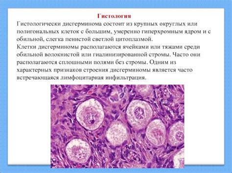 Использование полигональных клеток в науке