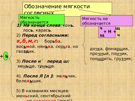 Использование твердого и мягкого знаков