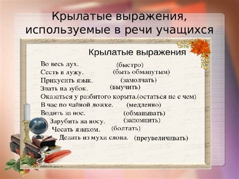 Используемые выражения в речи