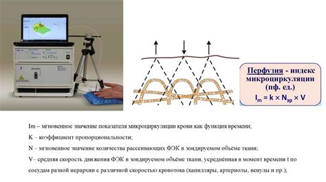 Исследование кровотока: современные технологии и открытия