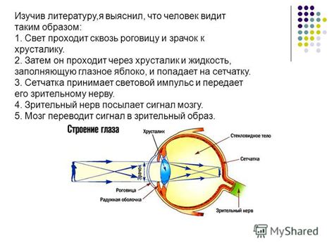 Исследования и эксперименты в области восприятия глаз