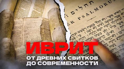 Исторические изменения и эволюция языка