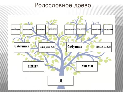 Исторические корни и эволюция семейного древа