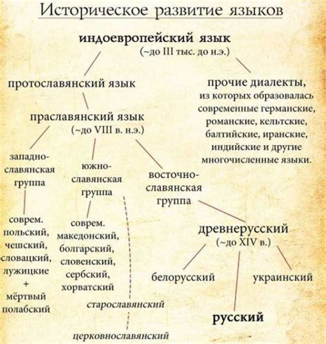 История возникновения понятия "происхождение"