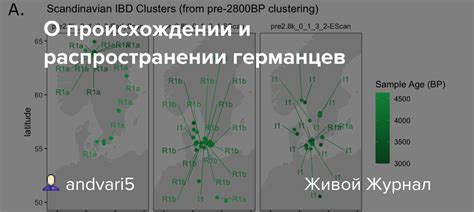 История долмы: кратко о происхождении и распространении