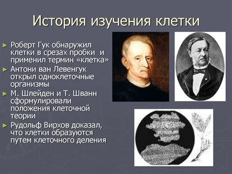 История изучения электроотрицательности