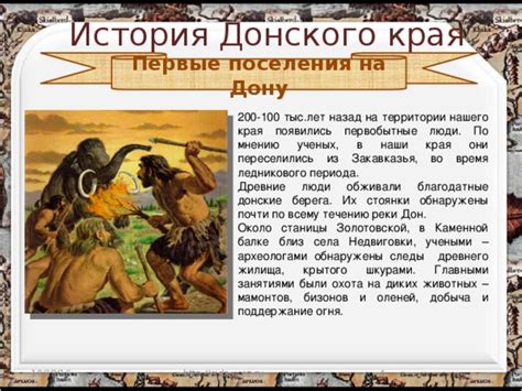 История и применение крытого теса