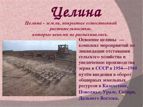 История и эволюция процесса освоения целины