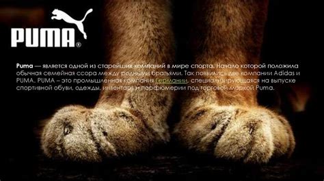 История создания бренда PUMA